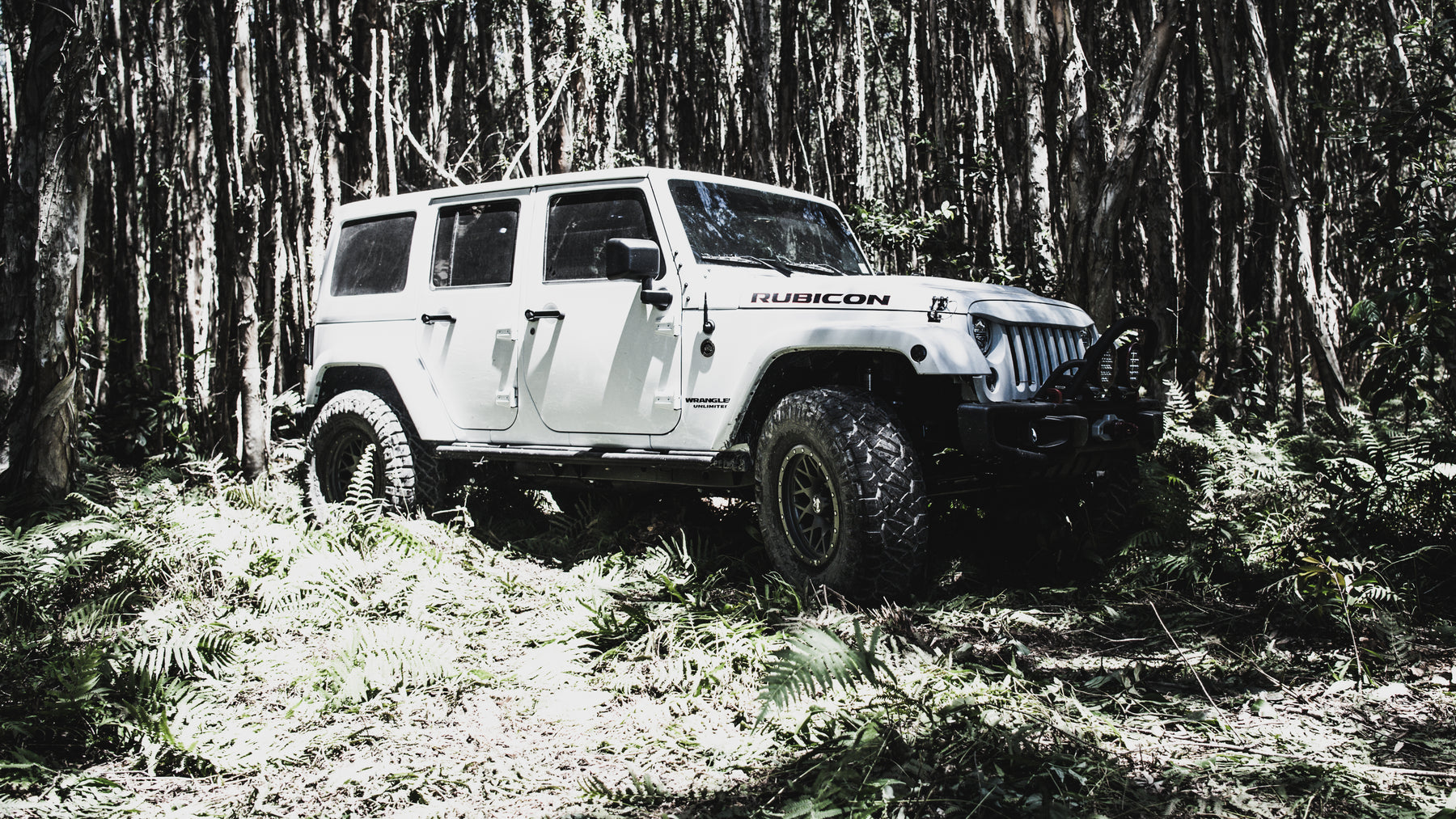 Renee's 2017 Rubicon