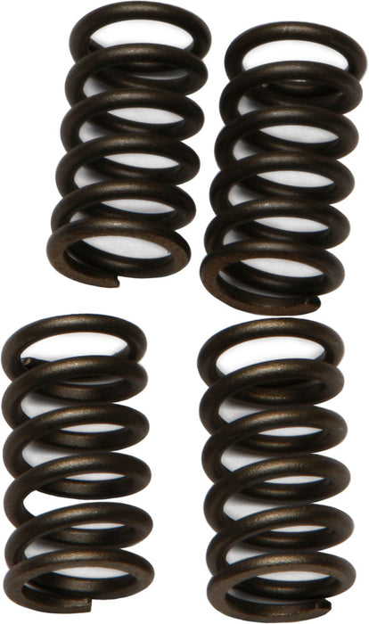 EBC Brakes CSK4 Coil Type Clutch Spring, black