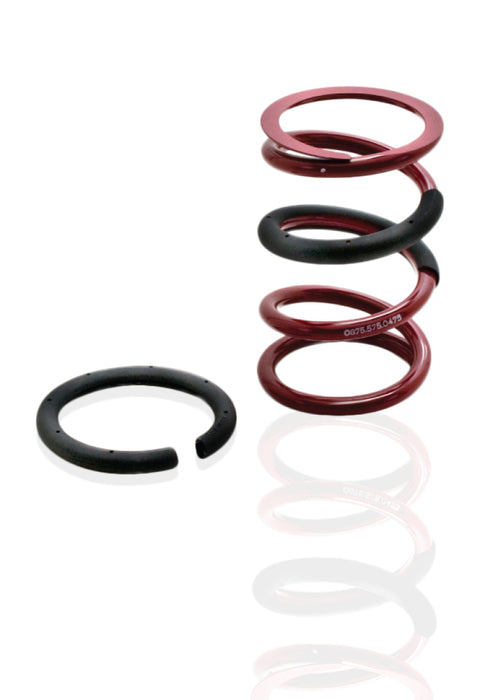 Eibach Eib Ers Springs CS5001L