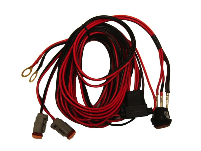 Rigid Dually Wire Harness (Pair) 40195