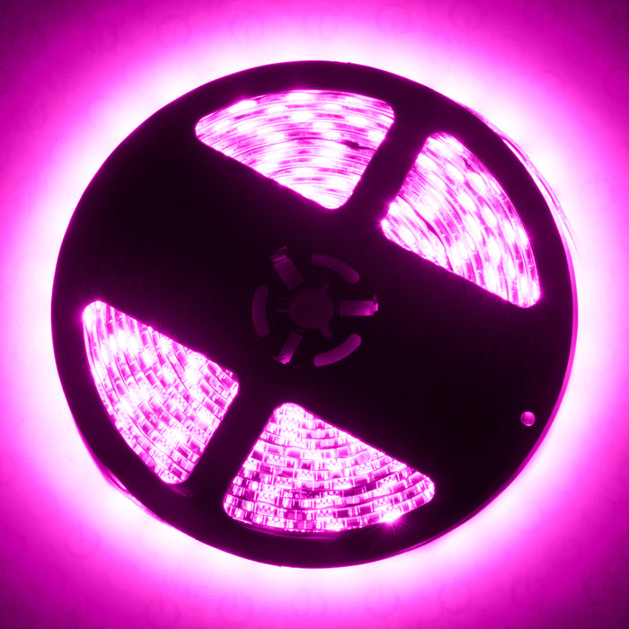 Exterior Fog Lightsex LED Spool - Pink Oracle