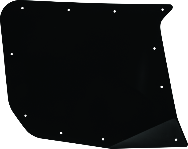 Dragonfire Racing 07-1950-1011-PC Door Skin Rear Driver