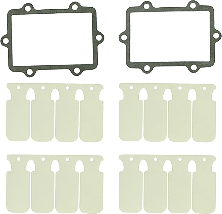 SP1 SM-07301 Reed Valve Rebuild Kit