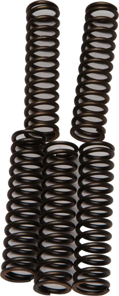 EBC Brakes CSK110 Coil Type Clutch Spring
