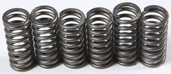 EBC Brakes CSK210 Coil Type Clutch Spring Kit