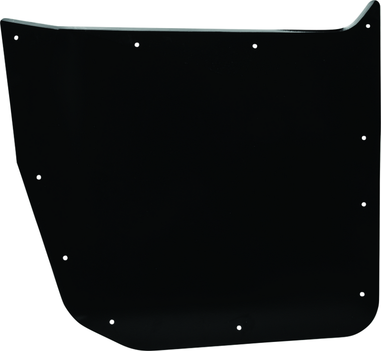 DragonFire Racing Passenger Side Door Skin