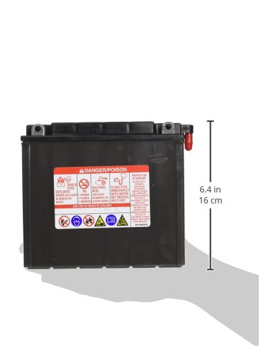 Yuasa YUAM2216Y YB16-B Battery