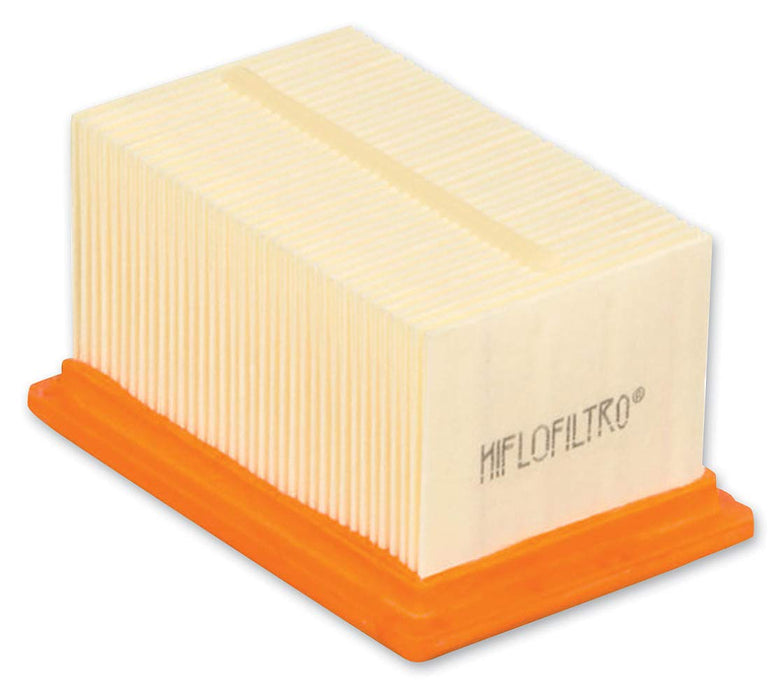 Hiflofiltro HFA7601 Premium OE Replacement Air Filter, Black