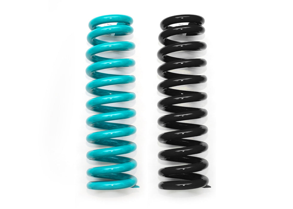 DOBINSONS COIL SPRING PAIR (C09-074)
