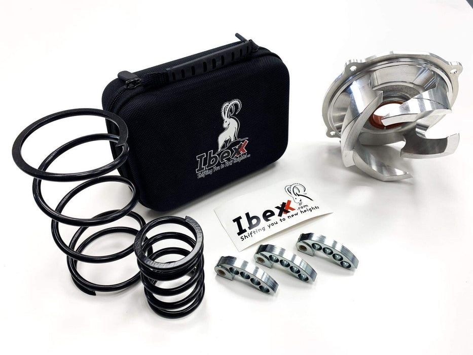 Ibexx 11796-2 AXYS 800 Clutch Kit