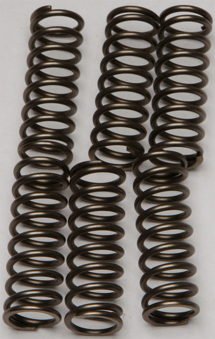 EBC Clutch Spring Kit CSK160