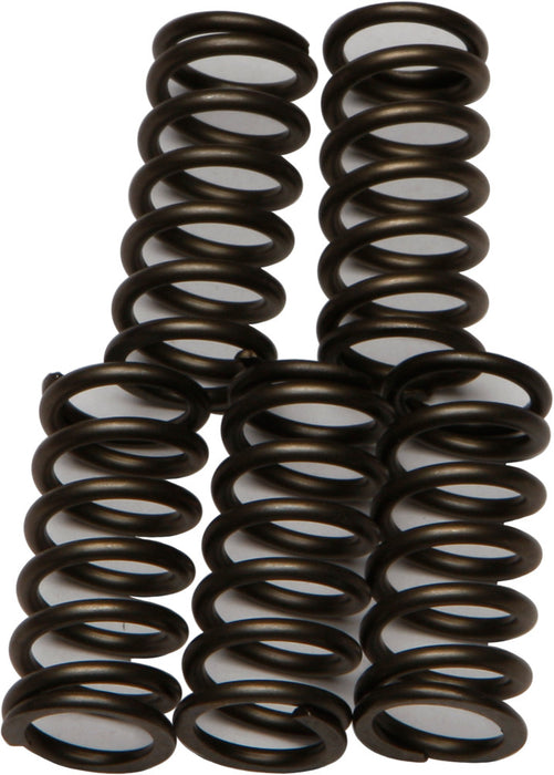 EBC Brakes CSK176 Coil Type Clutch Spring