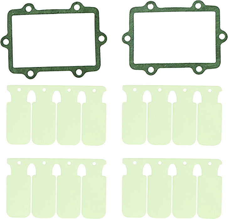 SP1 SM-07301 Reed Valve Rebuild Kit