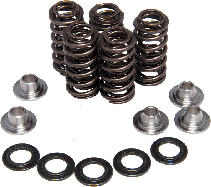 Kpmi Racing Valve Spring Kit 40-40660