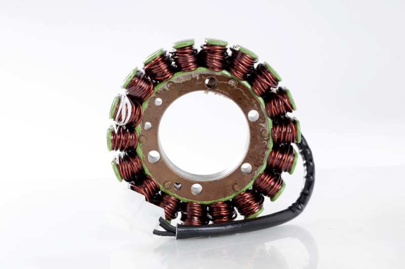 Ricks Electric Magneto Stator Fits Honda Gl1000 Gl1000K Gl1100 Gl1200I Gold Wing 21-102