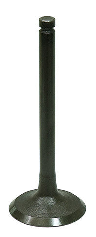 Bronco Intake Valve AU-09208I