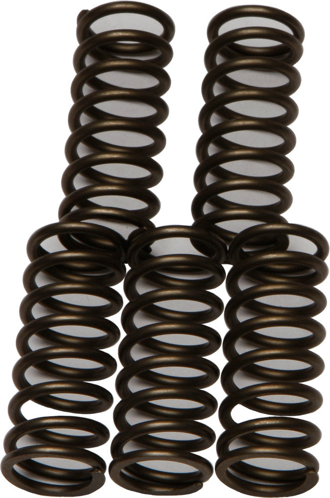 EBC 08-15 Kawasaki KLX 450 R (450cc) CSK Coil & Diaphram Spring Kits CSK180
