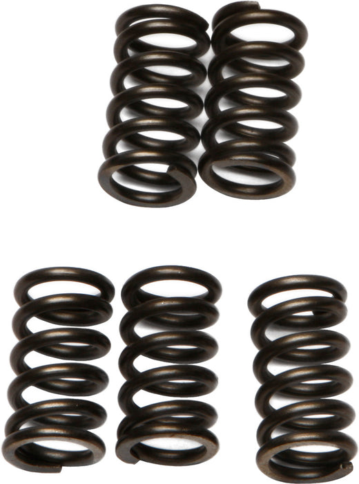 EBC Brakes CSK78 Coil Type Clutch Spring