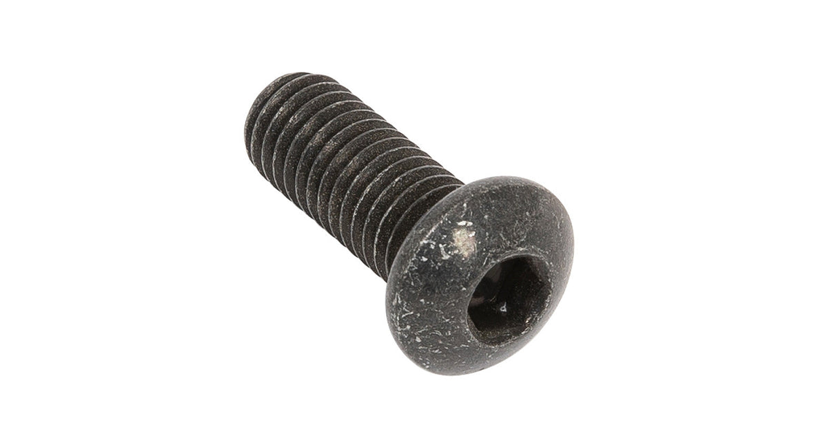 Rhino Rack M8 X 20Mm Black Button Cap Screw (Stainless Steels) (4 Pack) B155-BLK-BP