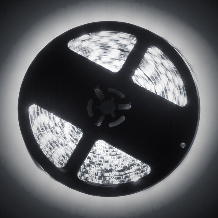 Interior Fog Lightsex LED Spool - White Oracle