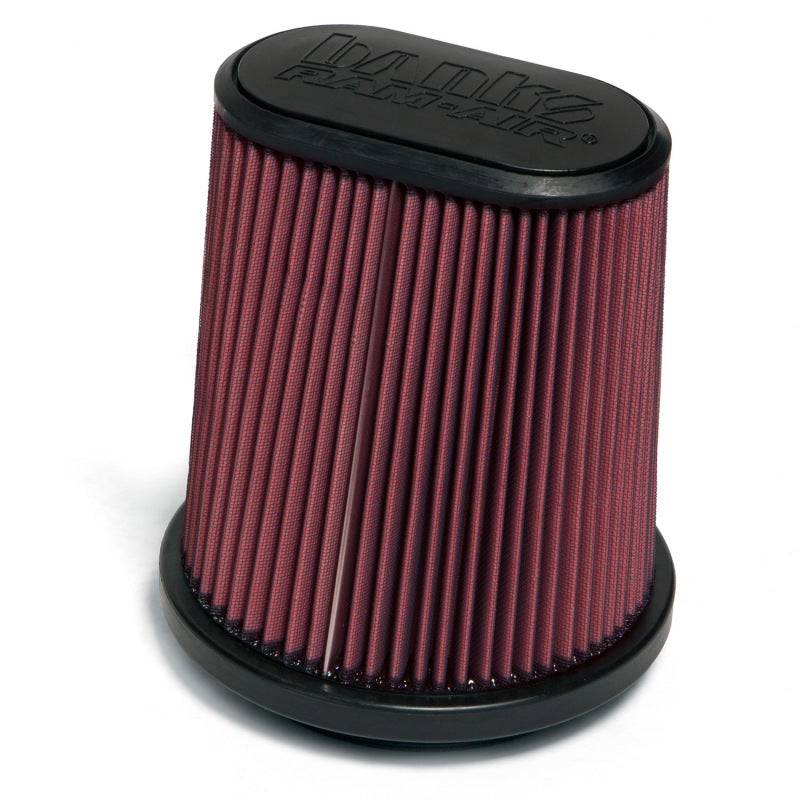 Banks Power 15-16 Ford F-150 2.7-3.5L EcoBoost and 5.0L Replacement Ram-Air Intake System 41885