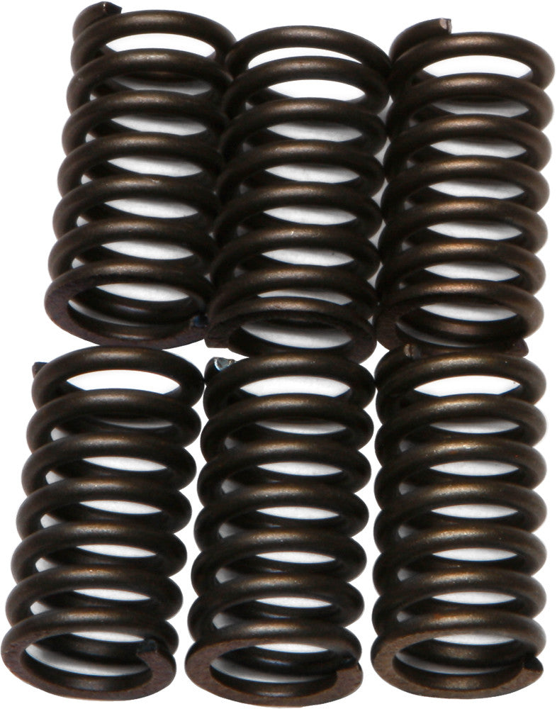 EBC Brakes Csk Clutch Spring Set 79-82 Fits Honda 750/ 01-09 Kawi BN125A CSK41