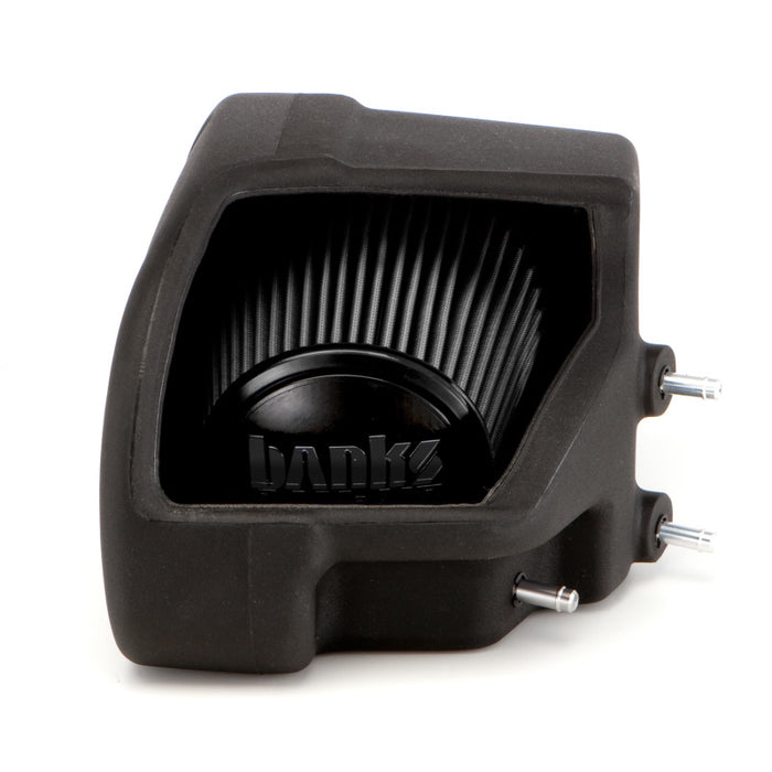 Banks Power 07-11 compatible with Jeep 3.8L Wrangler Ram-Air Intake System Dry Filter 41832-D