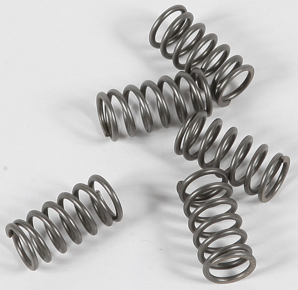 EBC Brakes CSK116 Coil Type Clutch Spring