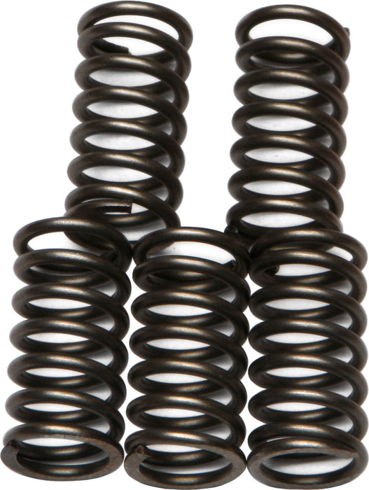 EBC Brakes CSK65 Coil Type Clutch Spring, metallic, one size