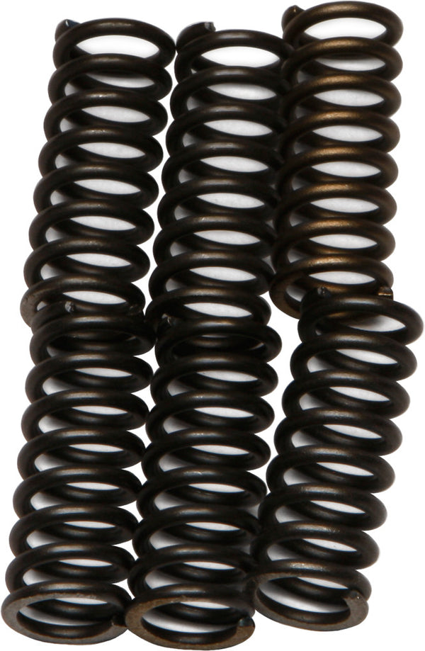 EBC Brakes CSK14 Coil Type Clutch Spring, black, One Size