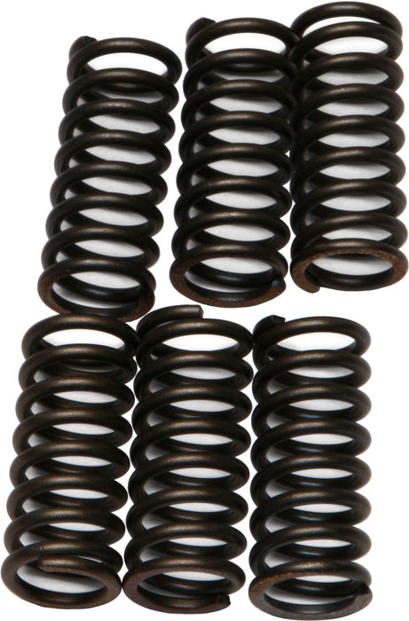 EBC Brakes CSK29 Coil Type Clutch Spring, black, One Size