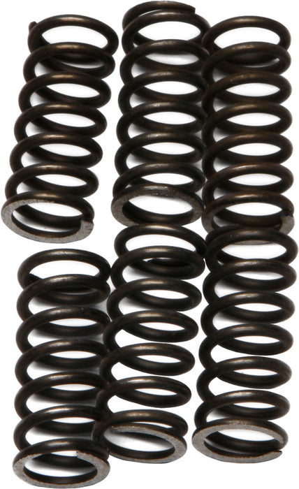 EBC Brakes CSK46 Coil Type Clutch Spring