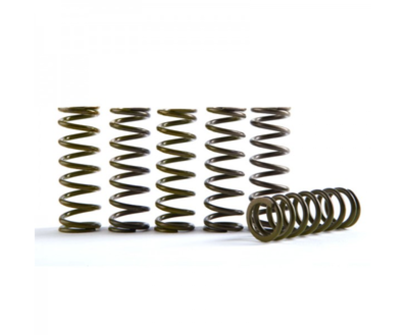 Hinson Clutch 10-13 Honda CRF250R Hi-Temp Clutch Spring Kit Set of 5 CS330-5-0509