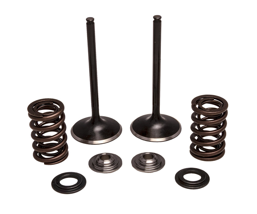 Kpmi Intake Valve/Spring Kit Stainless Steel 30-33250