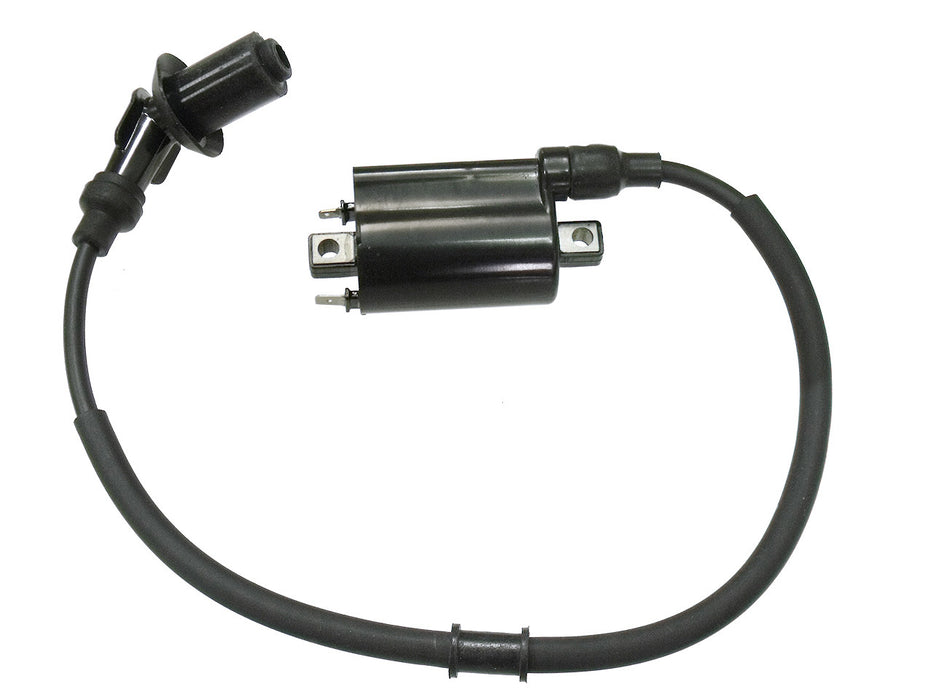 Bronco Atv Ignition Coil AT-01691