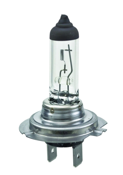 Hella Standard Halogen Bulb, 12 V, 55W H7