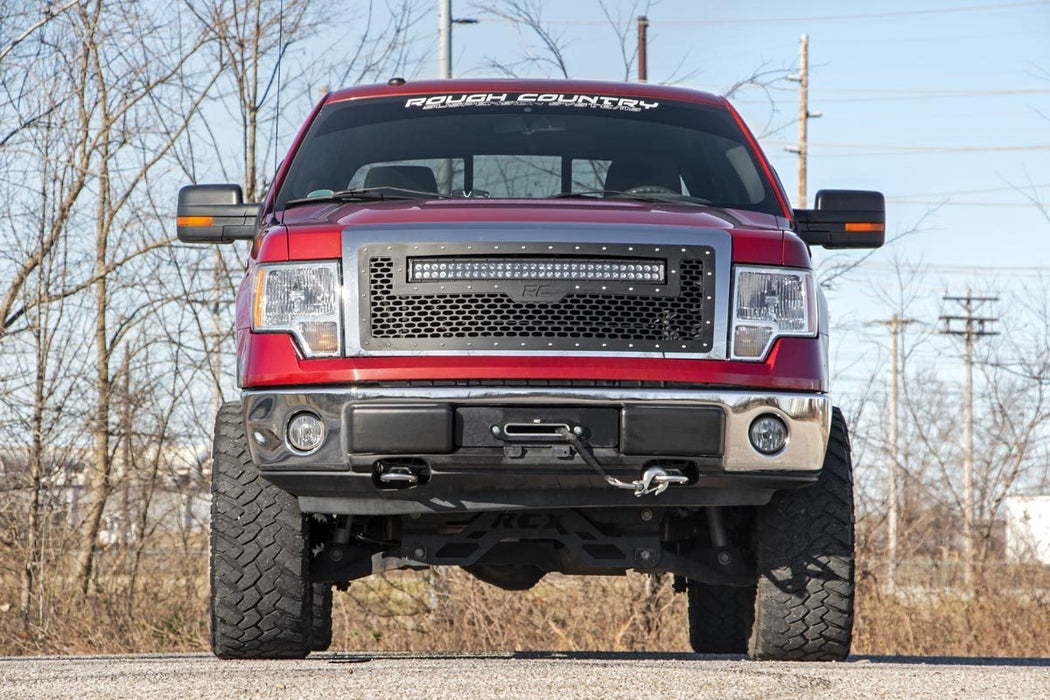 Mesh Grille | 30" Dual Row LED | Black | White DRL | Ford F-150 (09-14)
